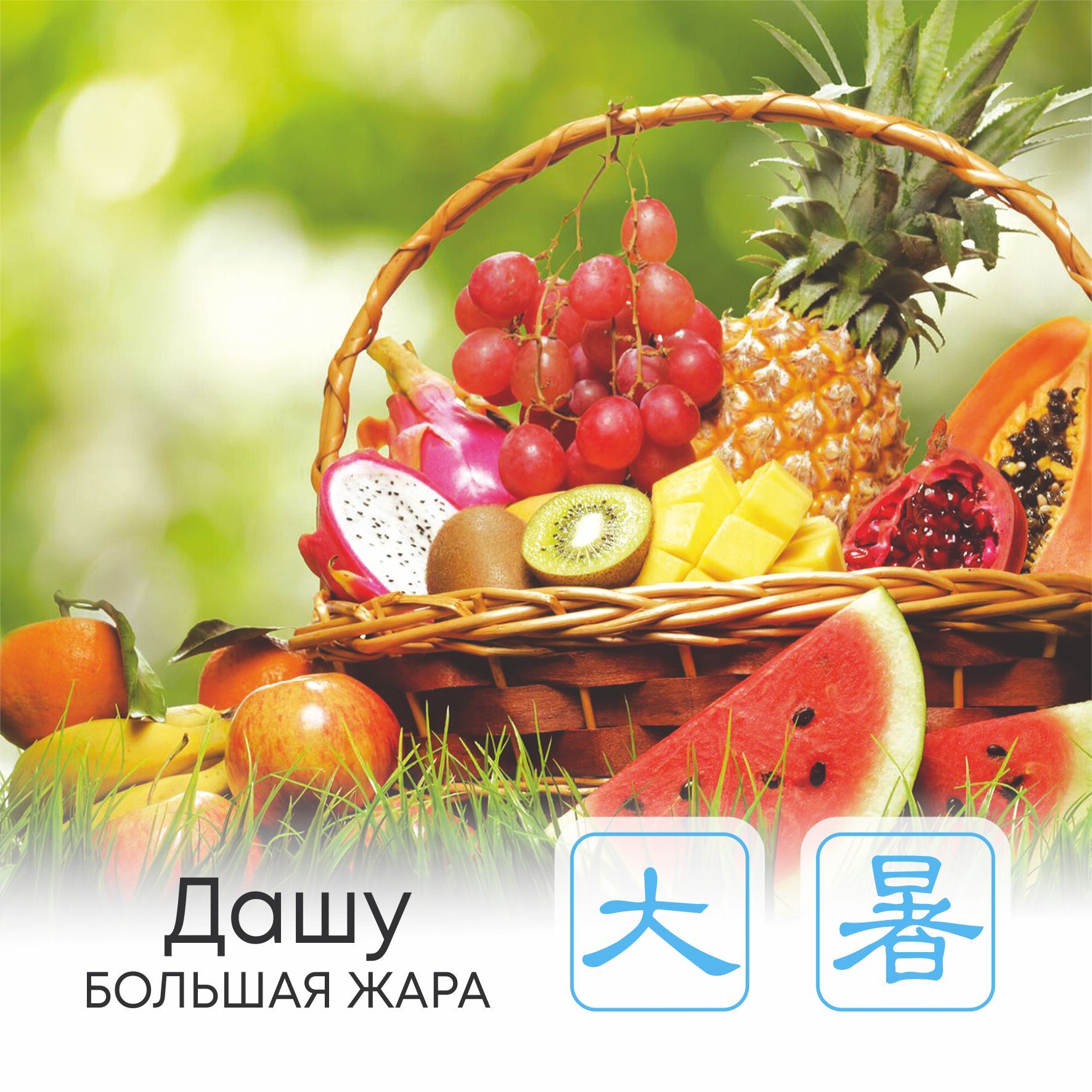  Сезон Дашу, или Большая жара 
