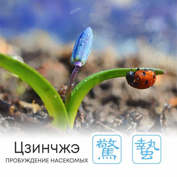  Сезон Цзинчжэ, или Пробуждение насекомых  
