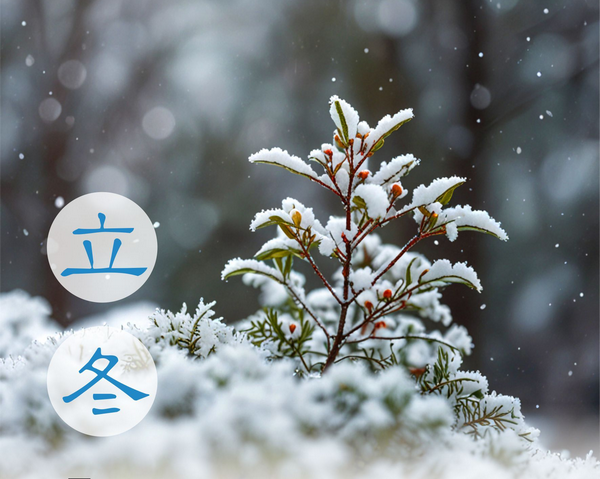  Сезон Лидун, или Начало зимы 