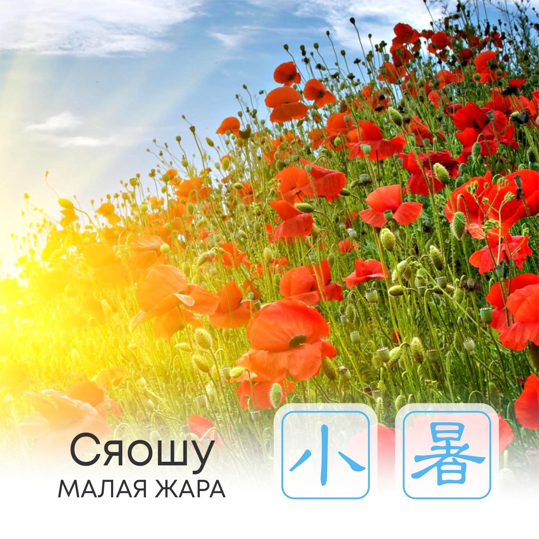   Сезон Сяошу, или Малая жара  