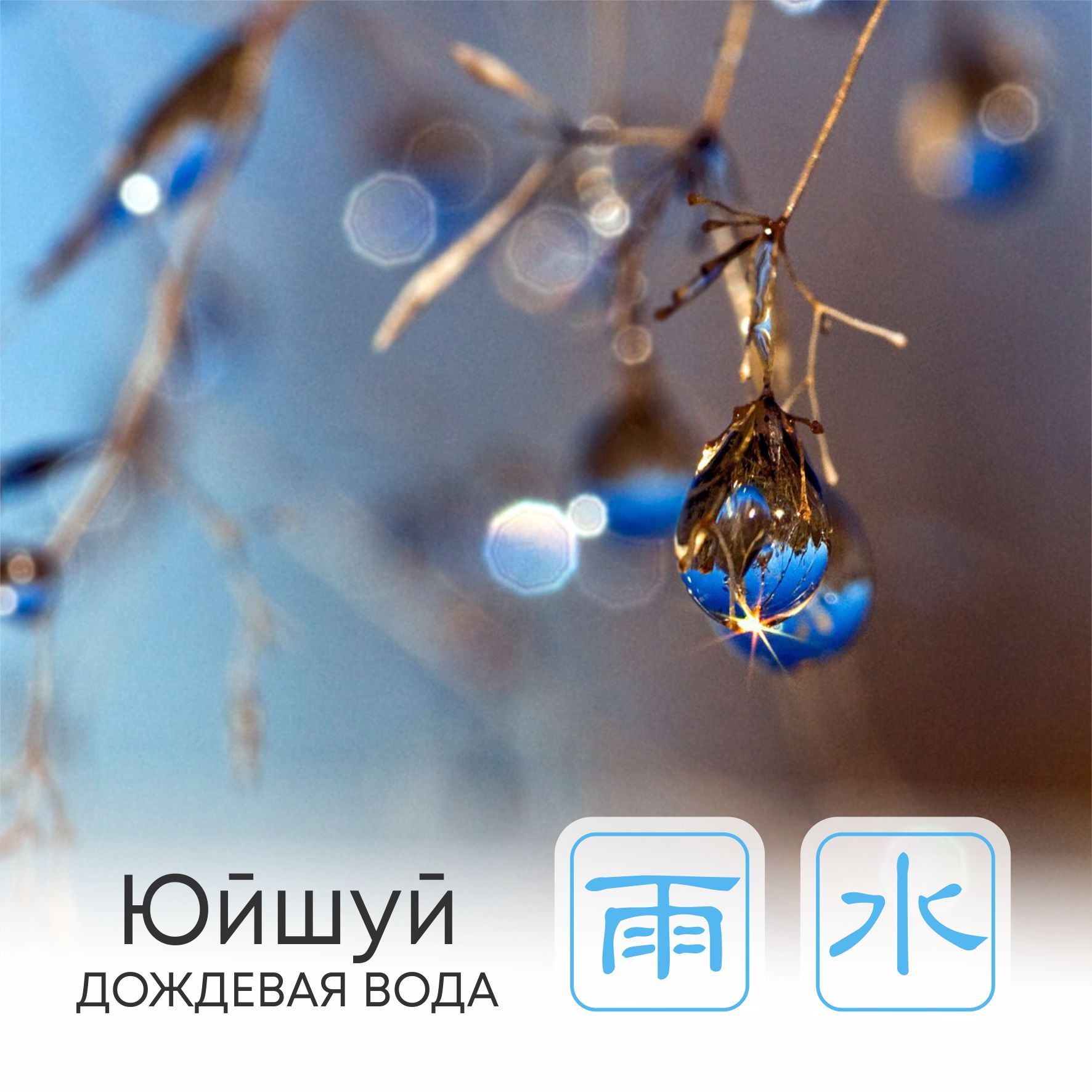 Сезон Юйшуй, или Дождевая вода  