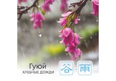  Сезон Гуюй, или Хлебные дожди 