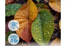  Сезон Ханьлу, или Холодные росы 