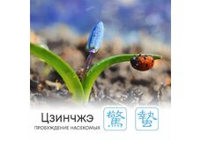  Сезон Цзинчжэ, или Пробуждение насекомых  