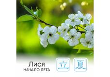  Сезон Лися, или Начало лета 