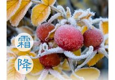  Сезон Шуанцзян, или Выпадение инея