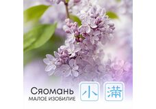  Сезон Сяомань, или Малое изобилие 